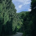 汕头南澳岛X064县道2号森林公路